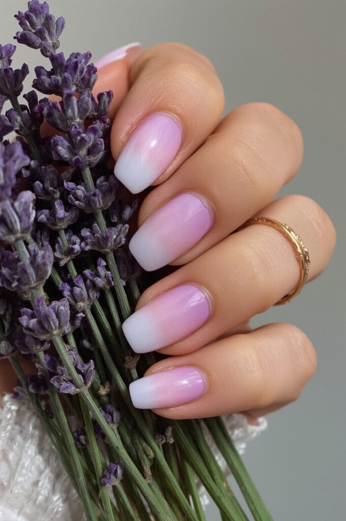 Ombre Lavender to Pink Fade