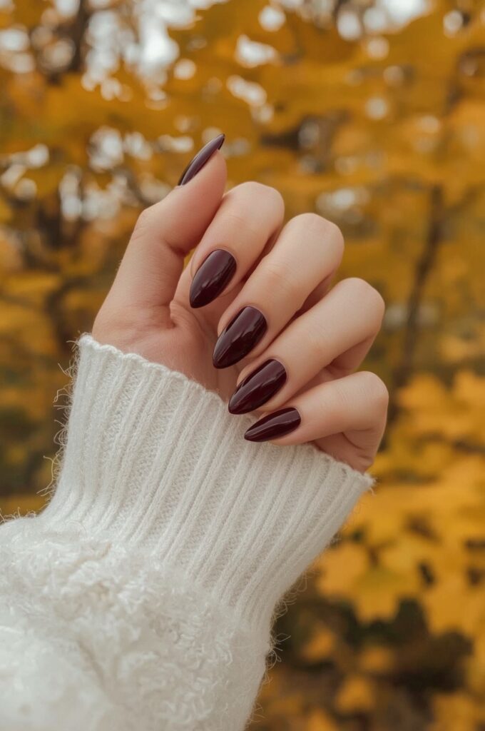 Burgundy Glossy Tips